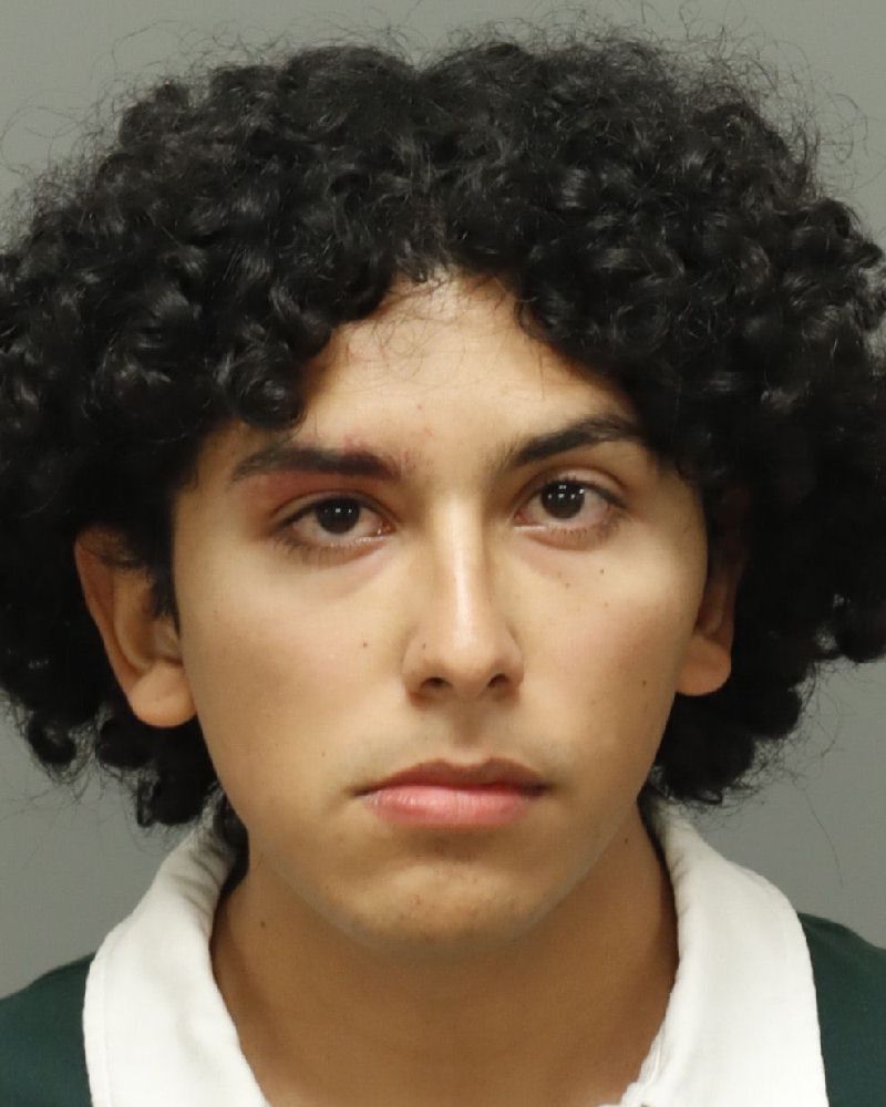 Booking photo of Jose Dominguez-altami