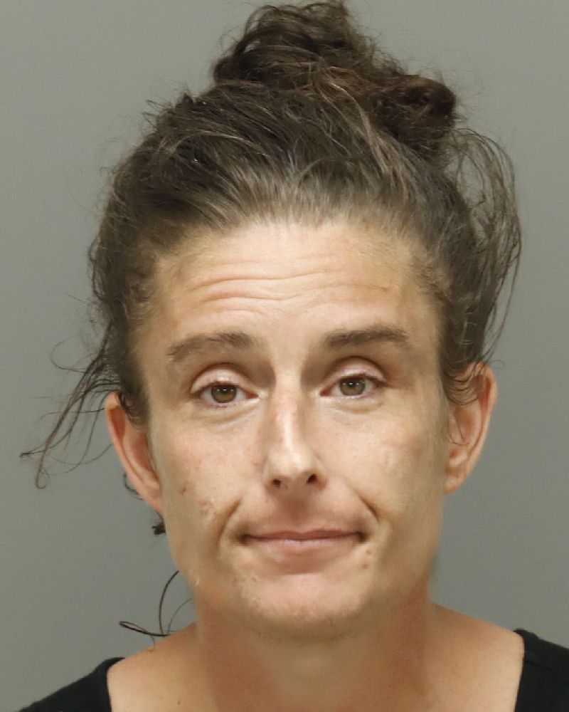 Ashley Steffan booking photo