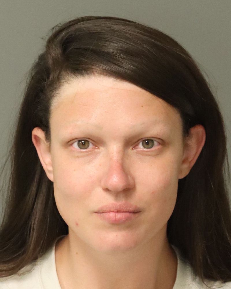 Booking photo of Monica Santos