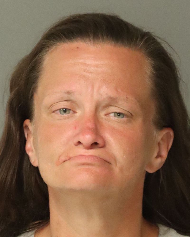 Booking photo of Shanna Brannan
