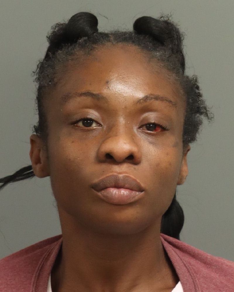 Booking photo of Hannah Johnson