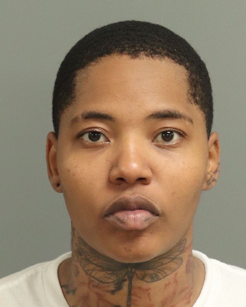 Booking photo of Lauren Patrick