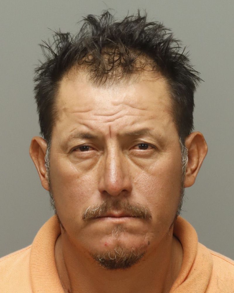 Booking photo of Leodan Delcid-zelaya