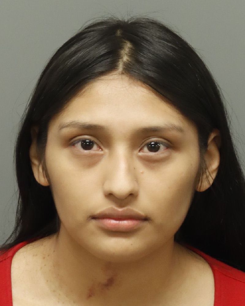 Booking photo of Lesli Mendoza-ramirez