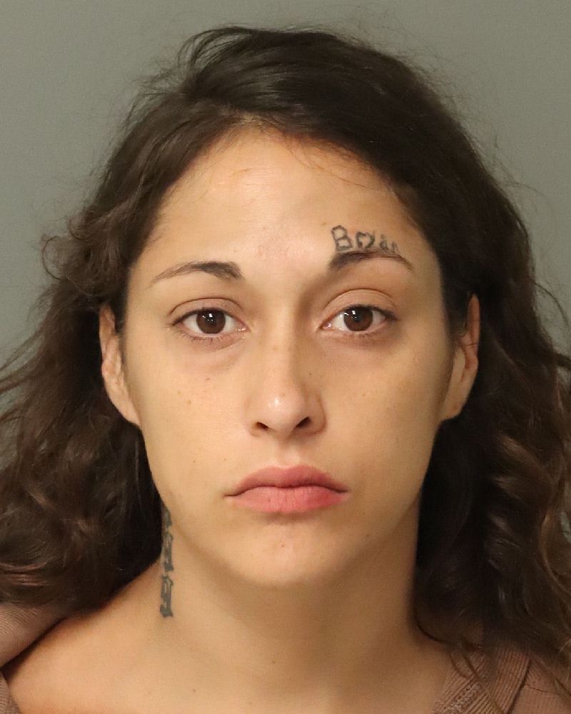 Booking photo of Allisa Vento