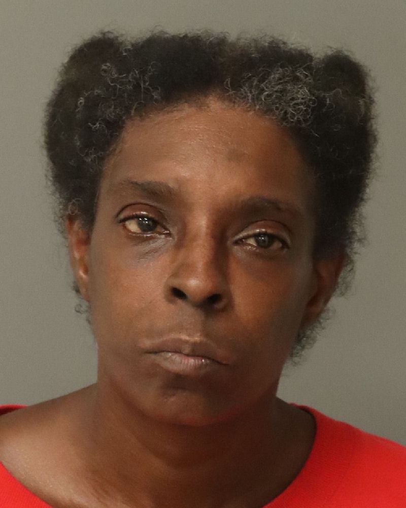 Melissa Boone booking photo