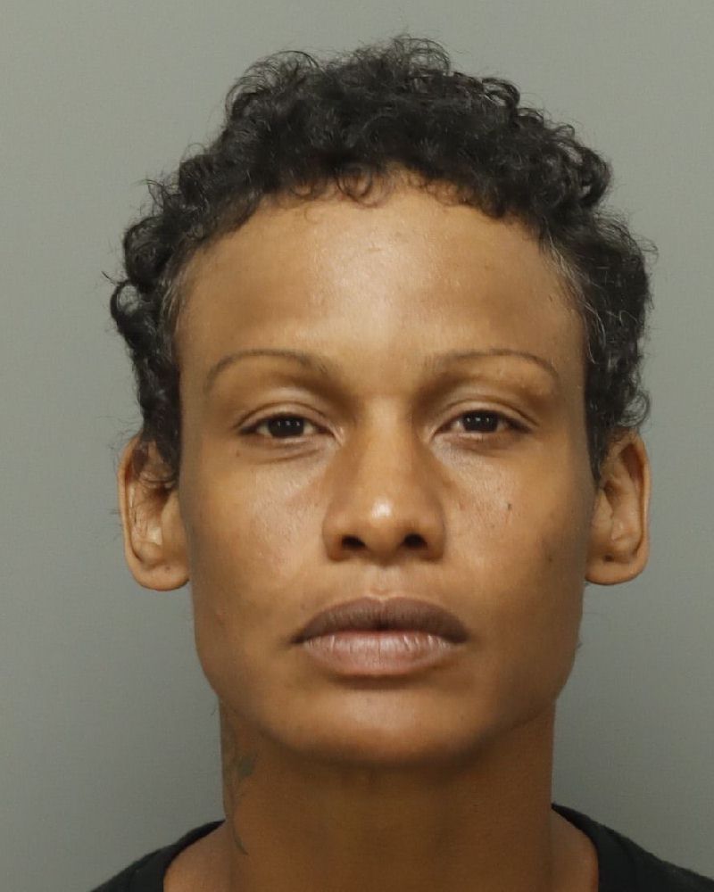Evelin Diaz-delacruz booking photo