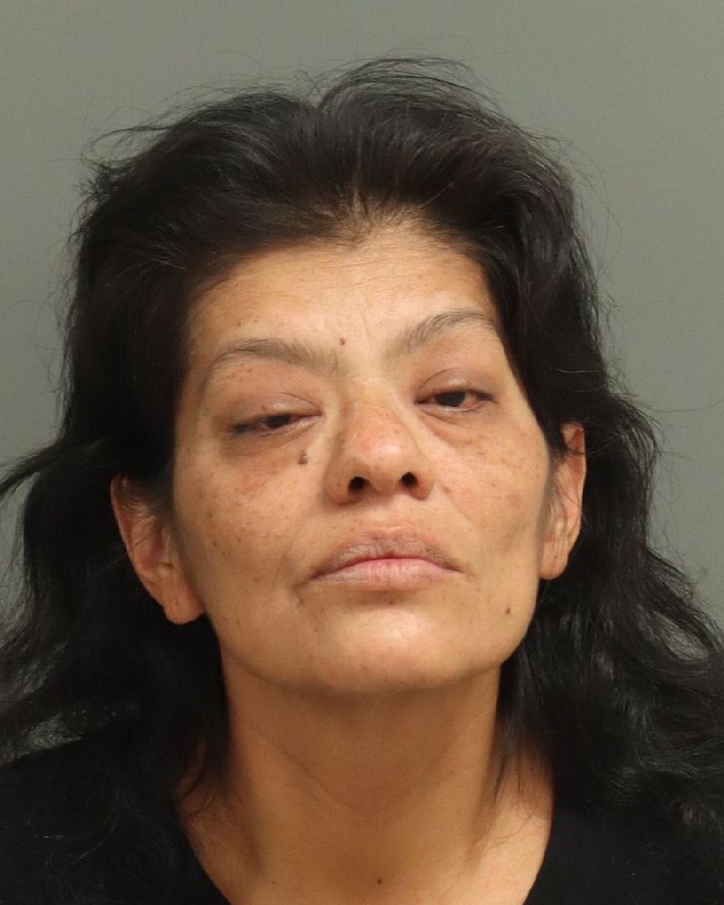 Booking photo of Eva Ellis