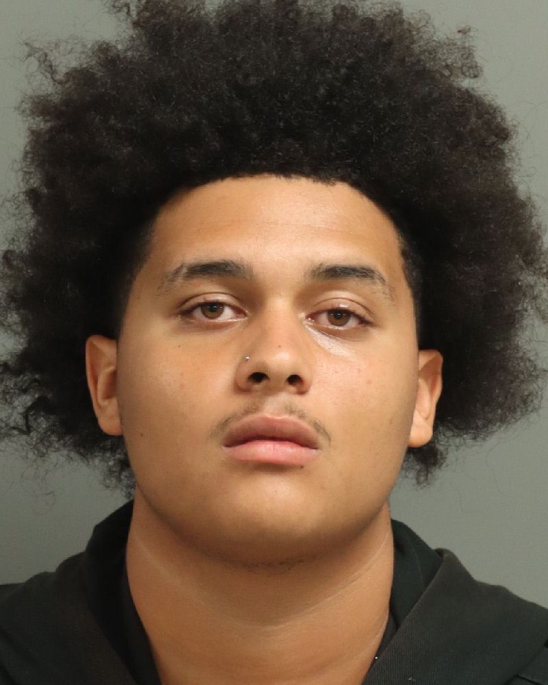 Booking photo of Diego Rijo