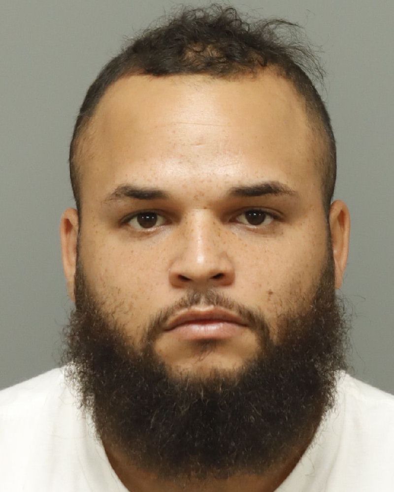 Booking photo of Pedro Martinez