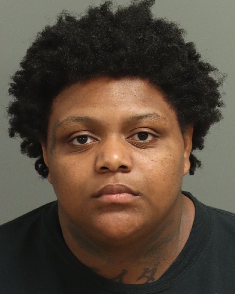 Jnaja Porter booking photo