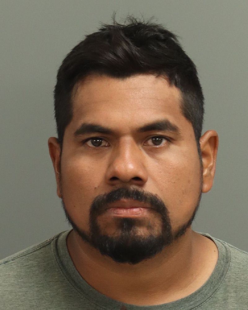 Booking photo of Luis Ramos-rojas