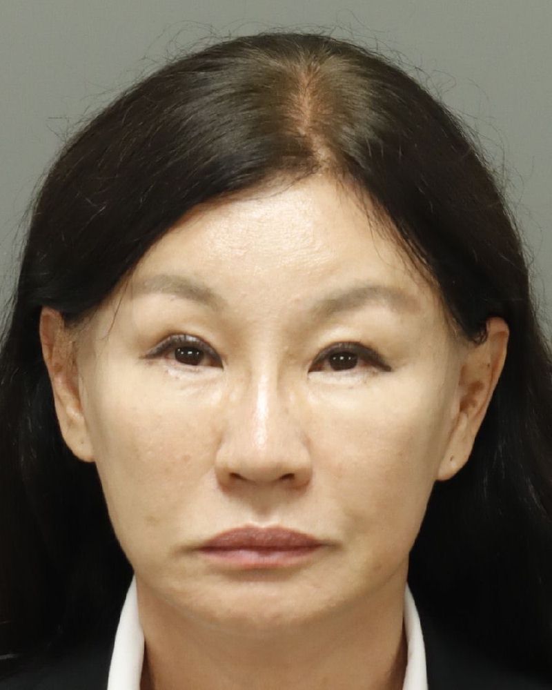 Anna Kim booking photo