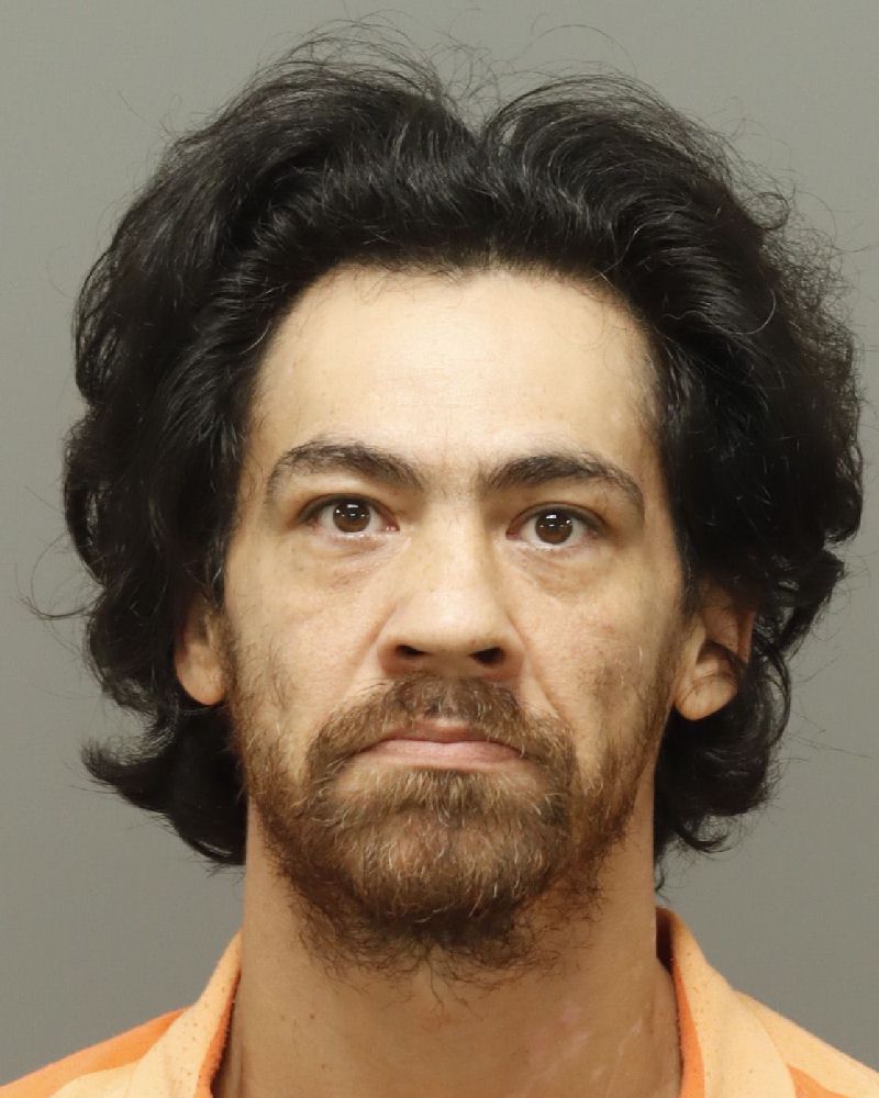 Booking photo of Naiche Villareal
