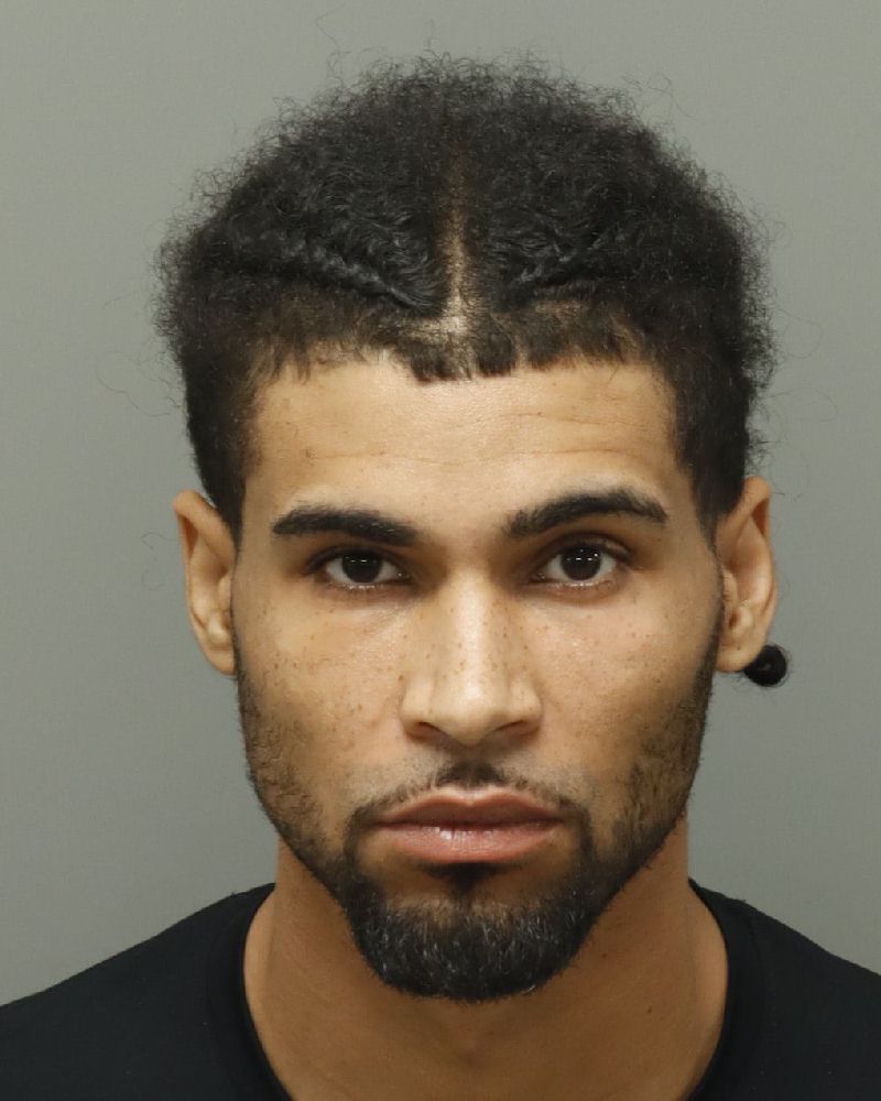 Booking photo of Tristin Brown