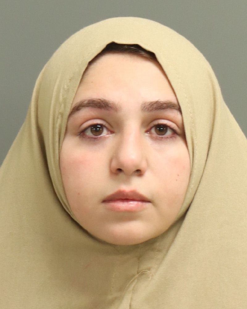 Booking photo of Diana Alawis