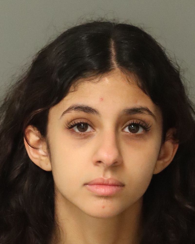 Booking photo of Malak Zafar