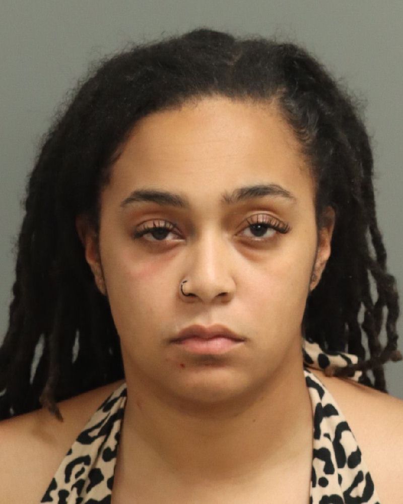 Booking photo of Paige Turner