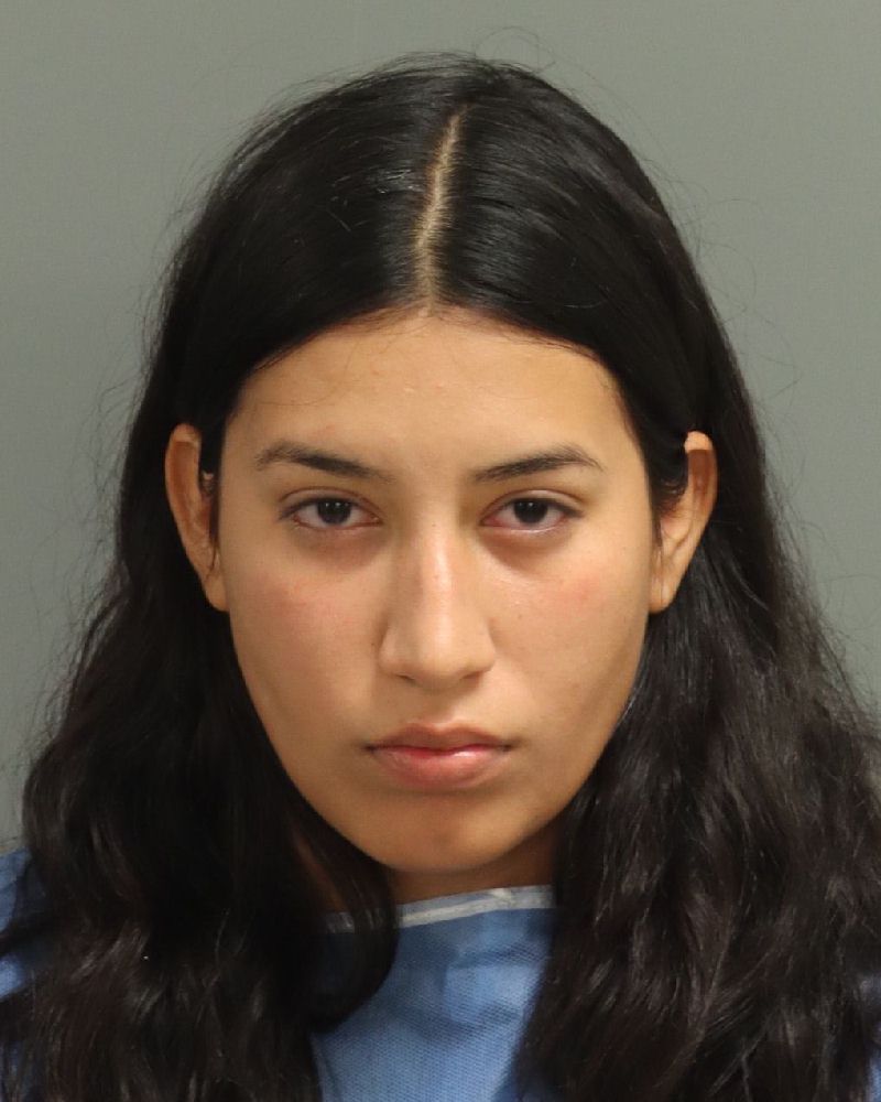 Booking photo of Maria Pirela-noches