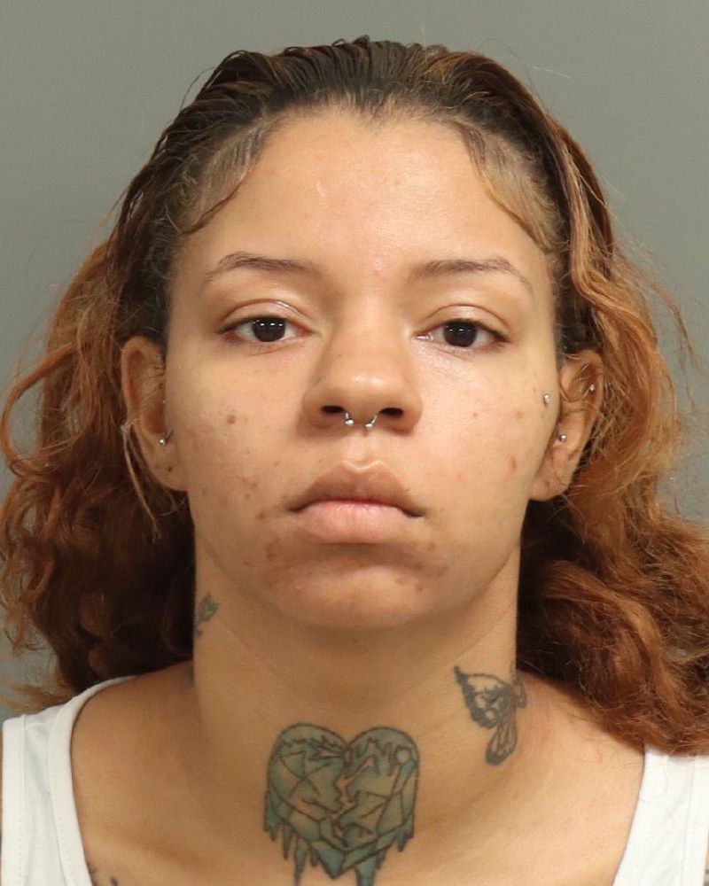 Booking photo of Johanna Burton