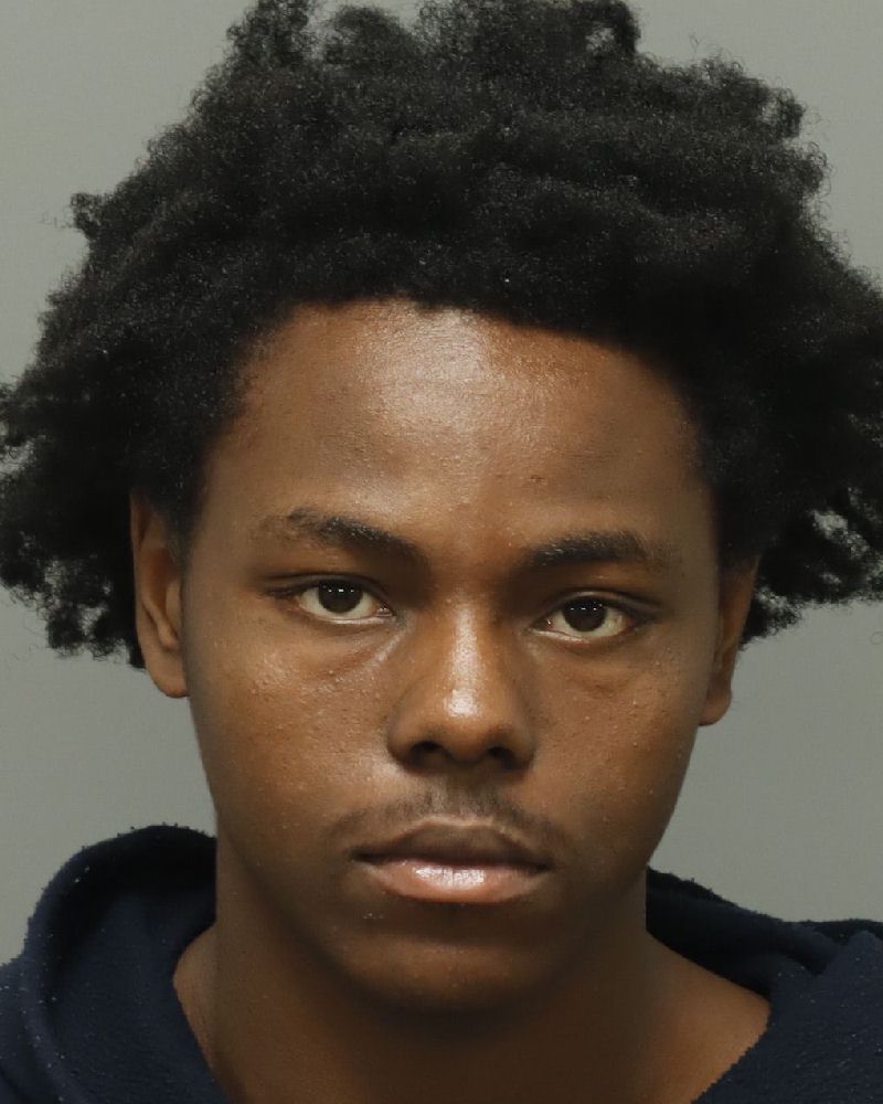 Booking photo of La Mcneil