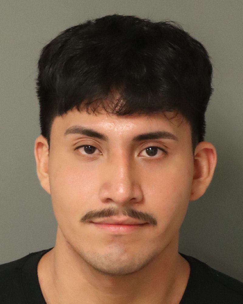 Booking photo of Melvin Palomino-gamboa
