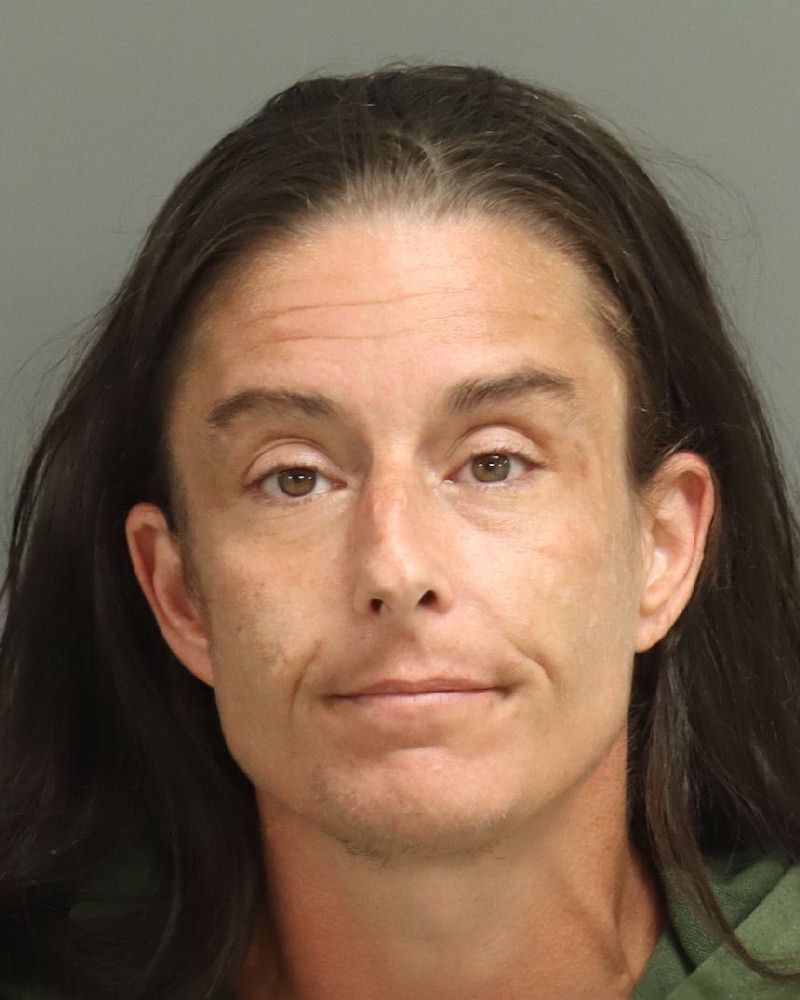 Booking photo of Ashley Steffan