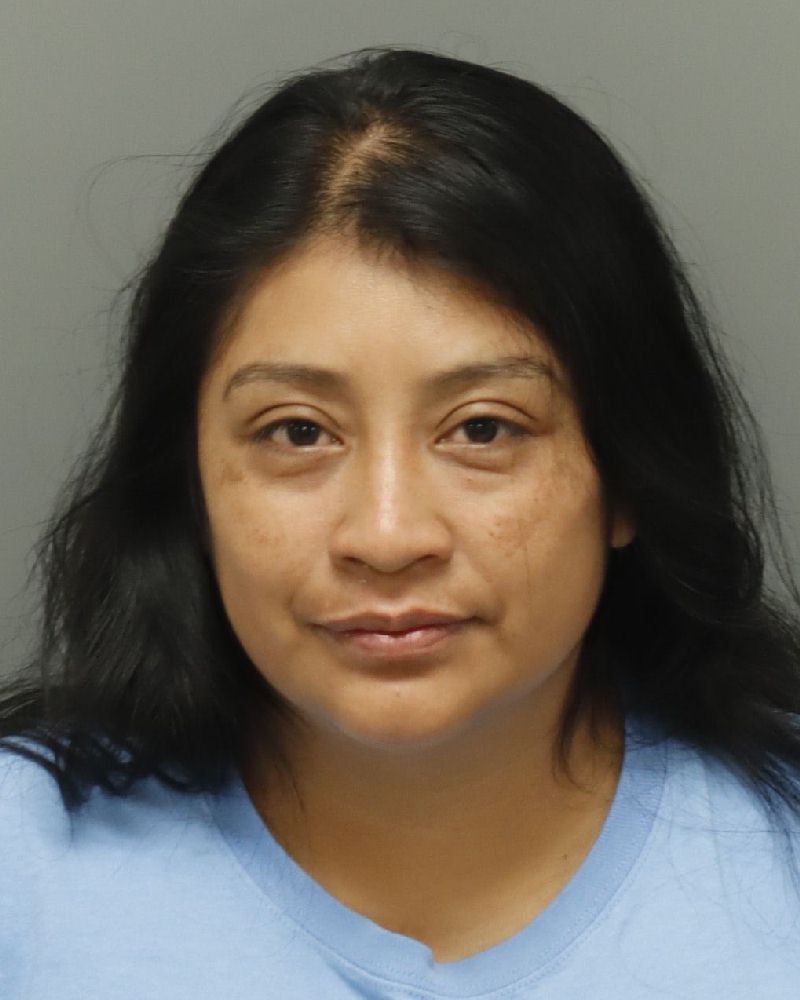 Booking photo of Yulma Sanchez-perez