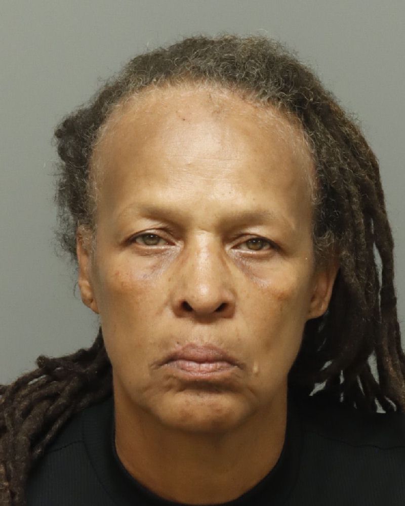Booking photo of Terri Blossom