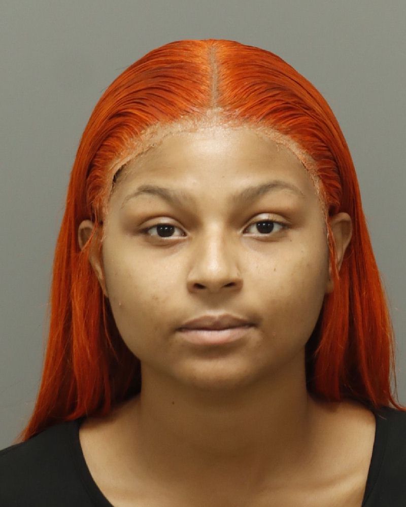 Hannah Reed booking photo