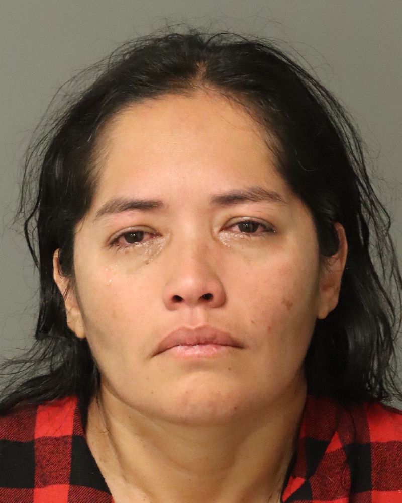 Booking photo of Teresa Spahr