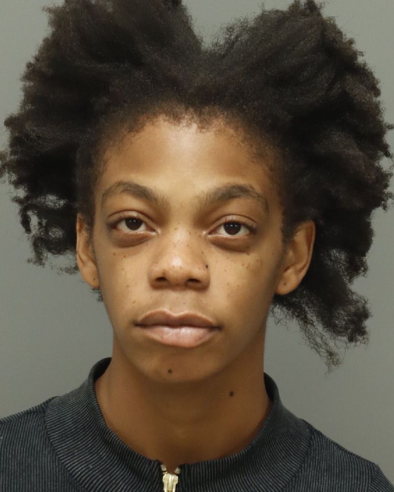 Booking photo of Charity Perkins