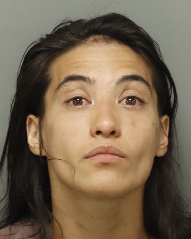 Alexandra Sanchez booking photo