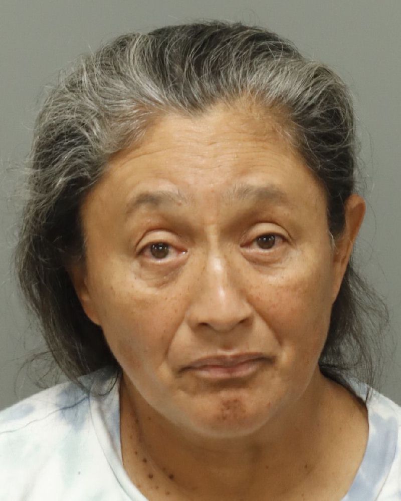 Booking photo of Maria Telles-garcia