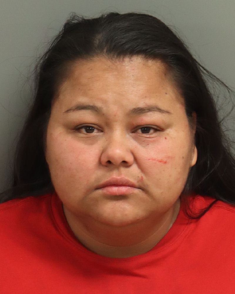 Booking photo of Dilcia Santamaria Perez