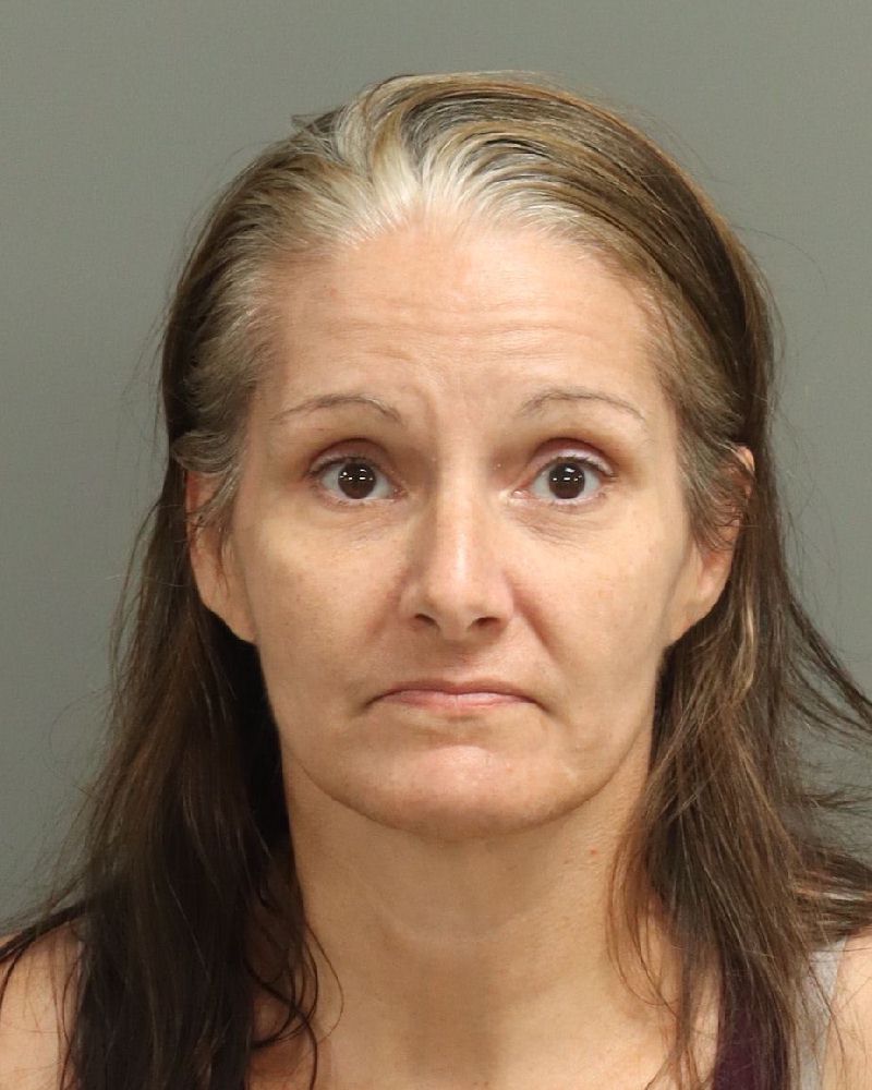 Booking photo of Erica Yankee