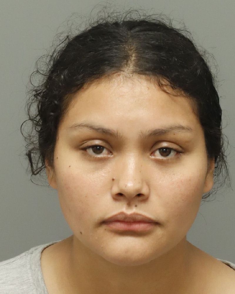 Booking photo of Dania Velasquez-hernan