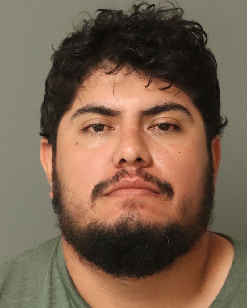 Booking photo of Alfredo Romero-espinoza