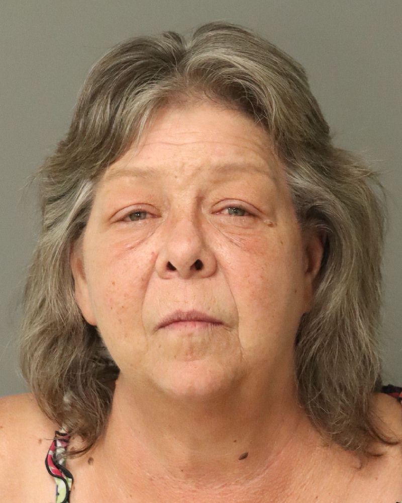 Booking photo of Pamela Beach