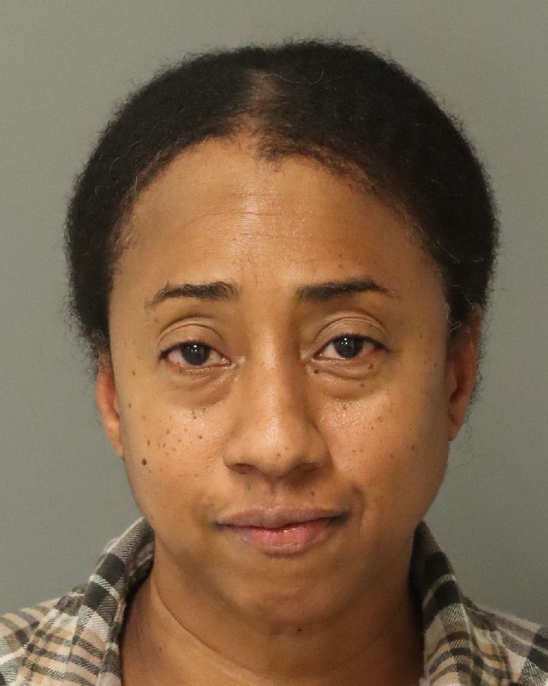 Booking photo of Pamela David