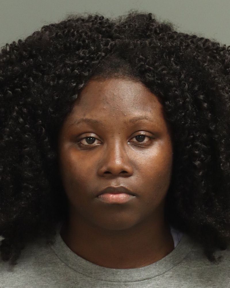 Arieanna Dotson booking photo