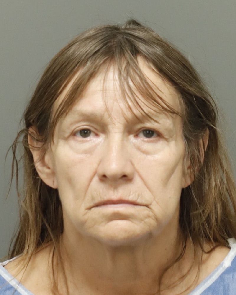 Laurie Manning booking photo