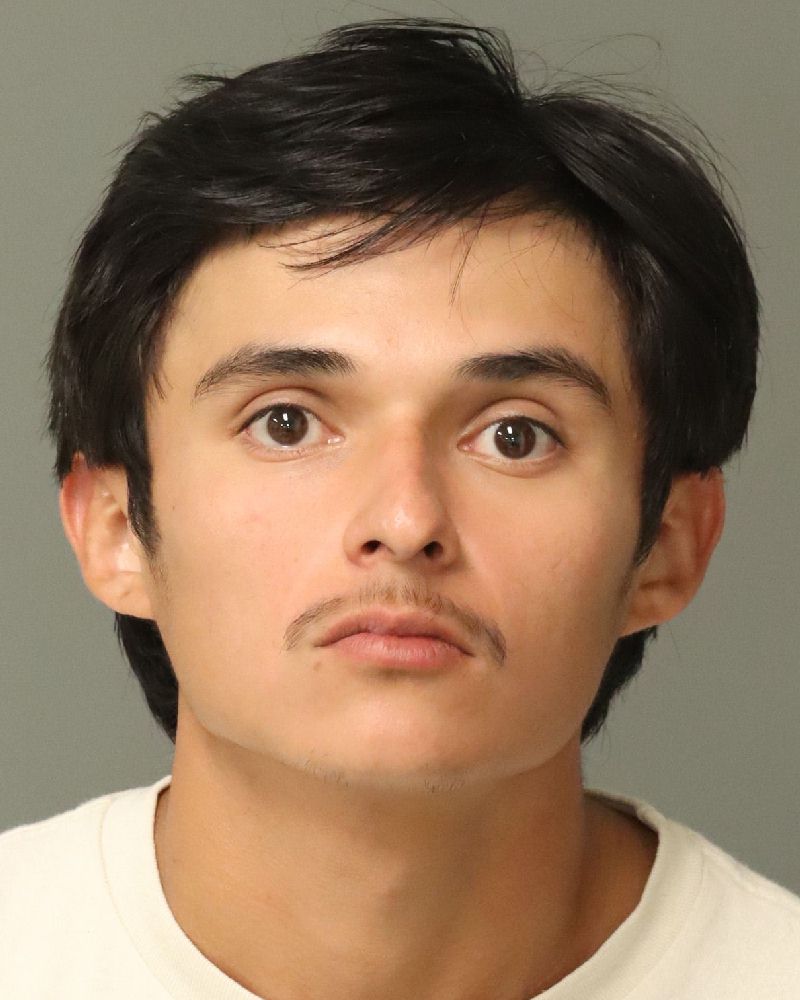 Booking photo of Roger Diaz-segovia