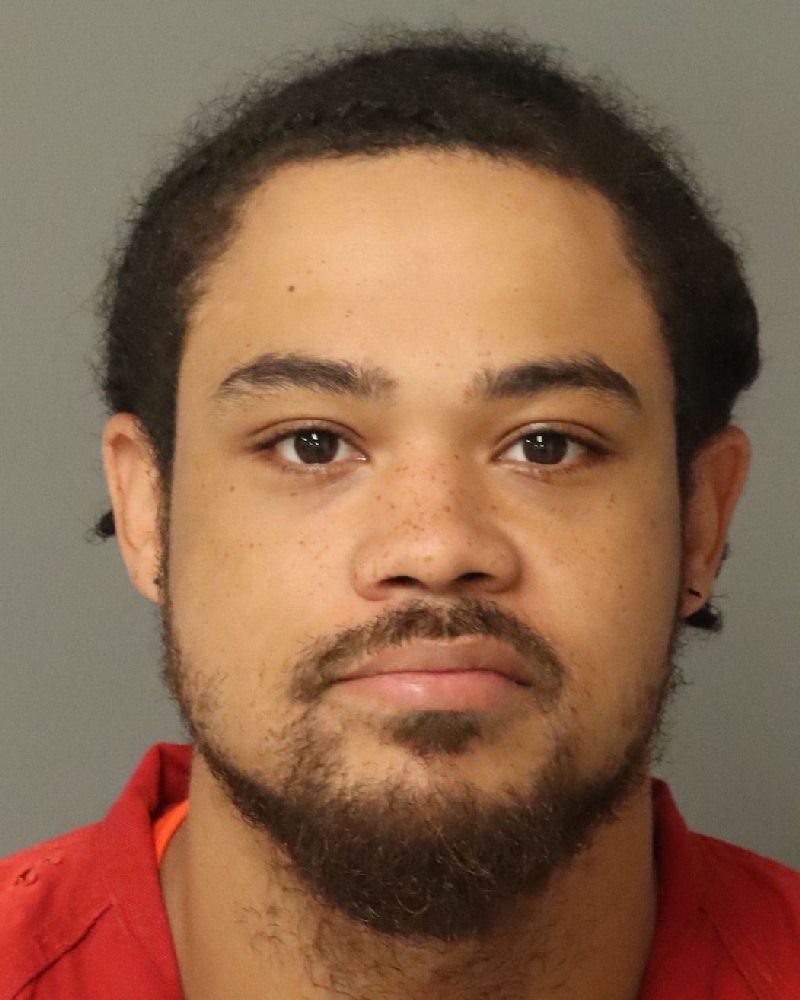Booking photo of Daeandra Bryant