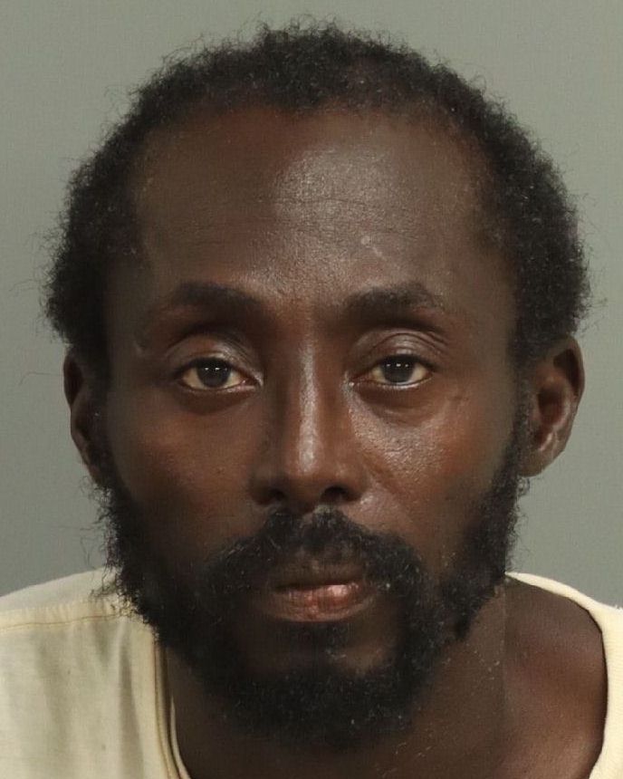Abiodun Falegan booking photo