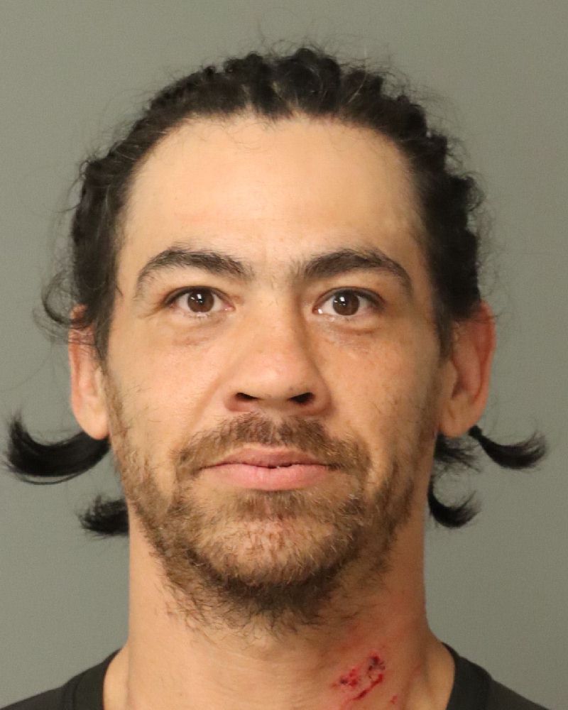 Booking photo of Naiche Villareal