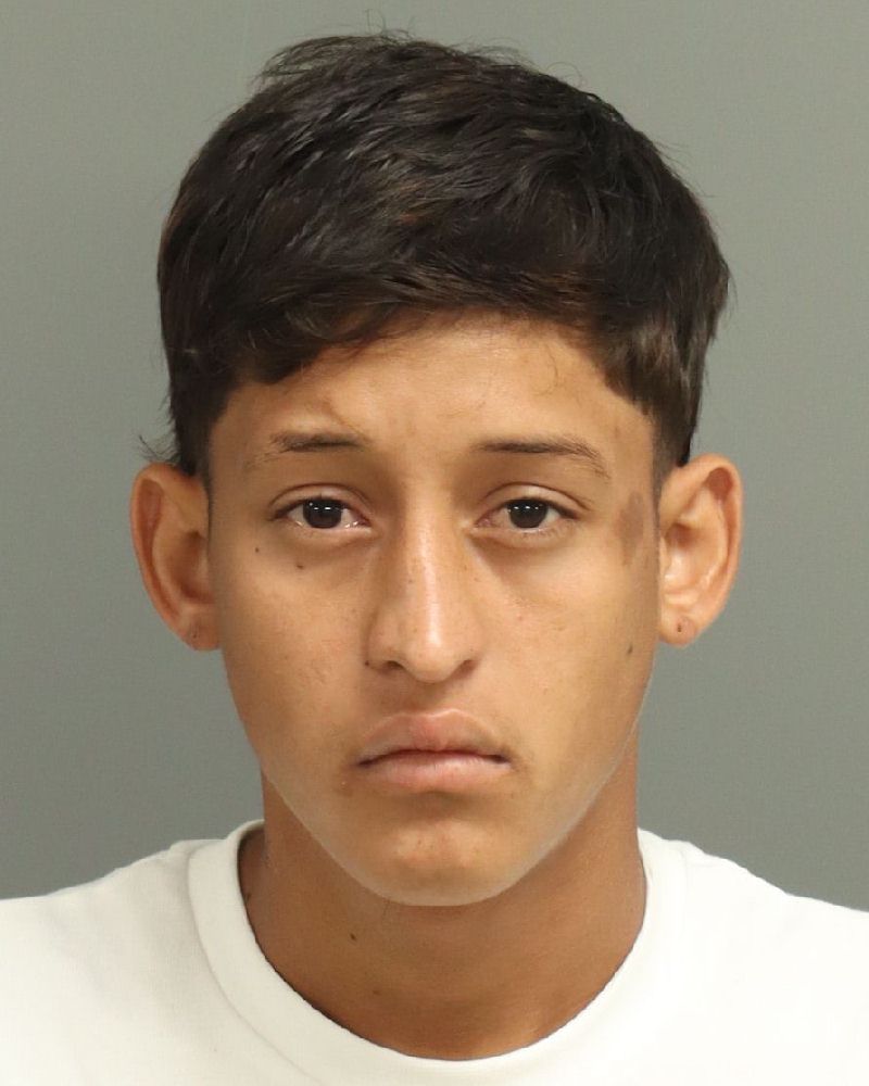 Charly Martinez-martine booking photo