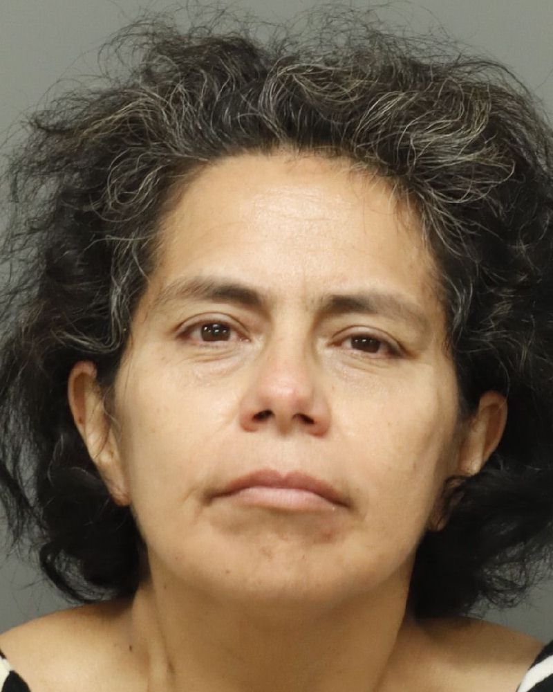 Booking photo of Ana Jaimes-ugarte