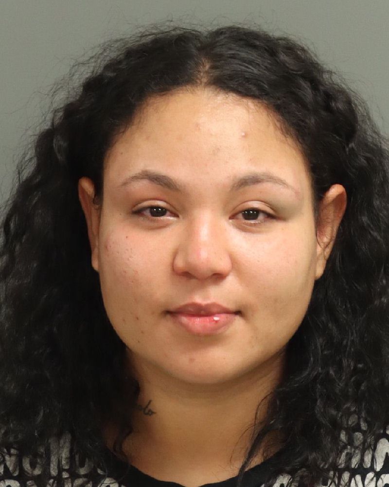 Liannie Garcia booking photo