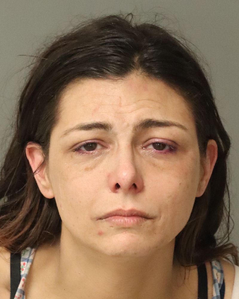 Booking photo of Amanda Dickinson